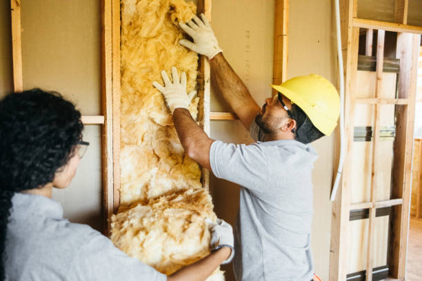 Best Crawl Space Insulation  in Montgomery, TX